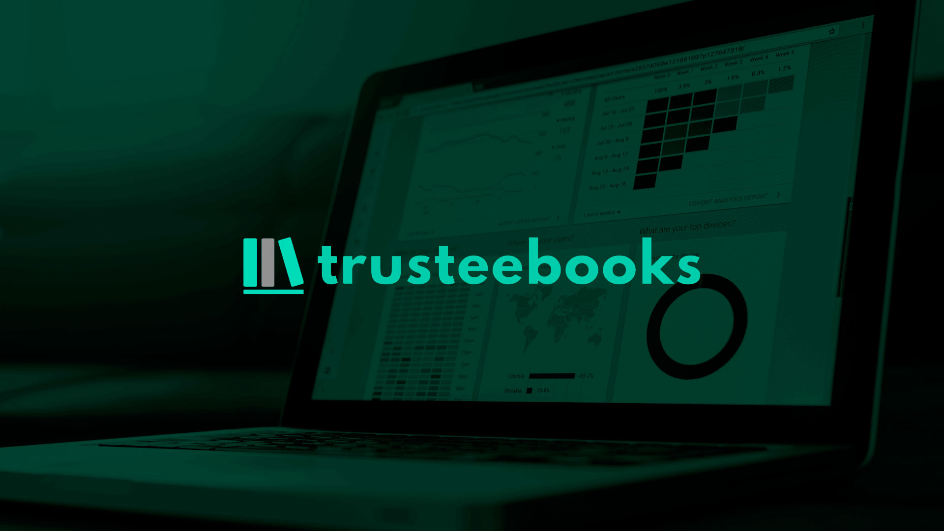 Trusteebooks - Gestão Financeira - BPO